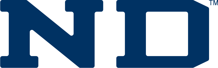Notre Dame Fighting Irish 1994-2006 Wordmark Logo v2 iron on transfers for clothing